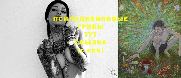 а пвп мука Белокуриха