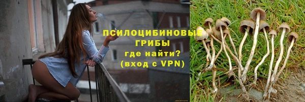 а пвп мука Белокуриха