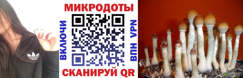 Галлюциногенные грибы ЛСД  Липецк 